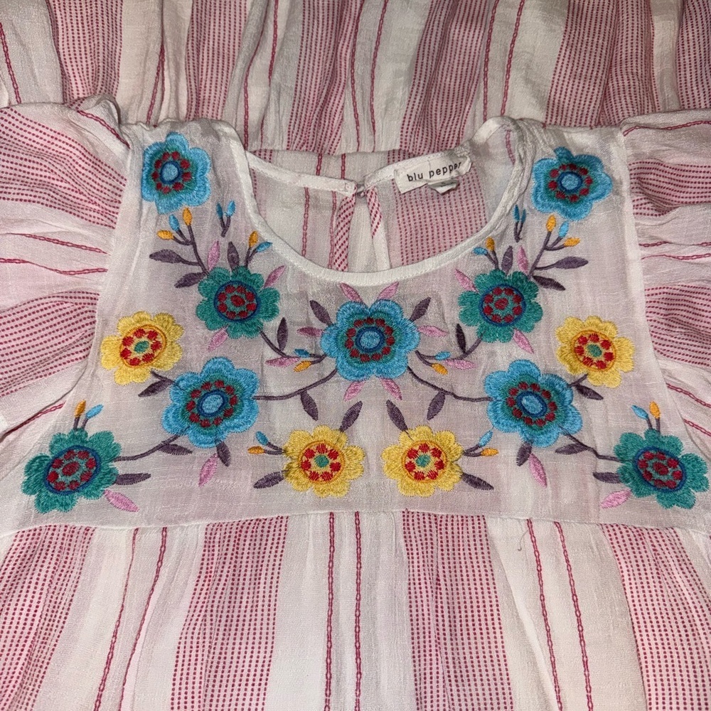 Blu Pepper Embroidered Mini Dress - Picture 6 of 7